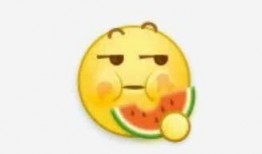 哔哩哔哩.在线吃瓜的意思,网络新潮流——在线吃瓜文化解析